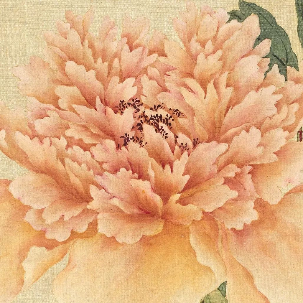 蒋廷锡工笔牡丹的一百种打开方式够美够艳够妖娆