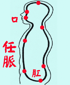 288_350gif 动态图 动图