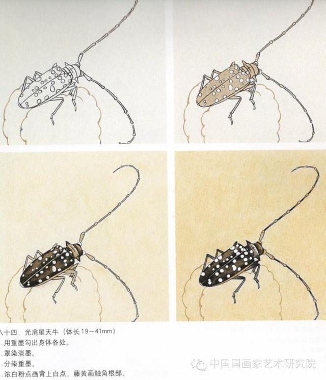 《白描禽羽画谱》《百虫技法图谱》