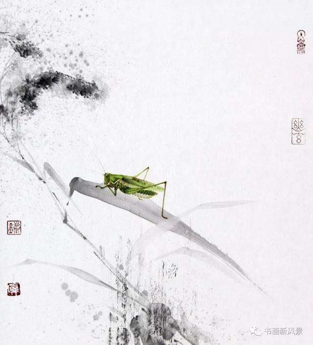 钟真画草虫真不简单