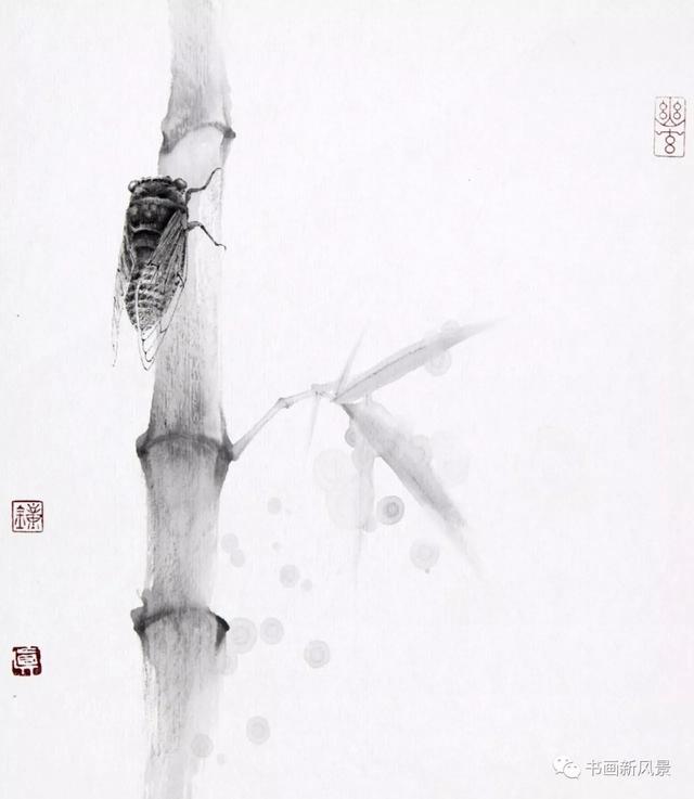 钟真画草虫真不简单