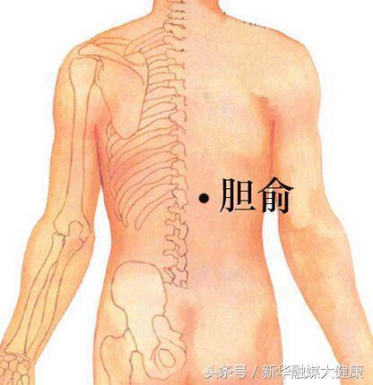 背部胆经的准确位置图图片