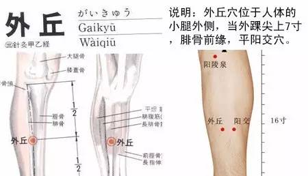 十六郗穴分布与功用【图文版】