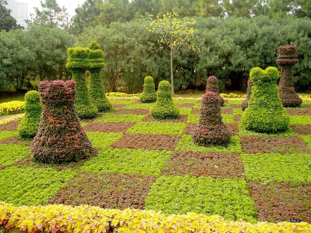 上海世纪公园植物雕塑50p