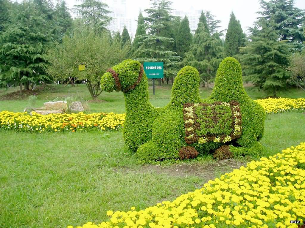 上海世纪公园植物雕塑50p