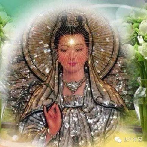 下雨的时候朝天空念观音甘露咒21遍所有雨滴沾到的众生都消灭恶业重罪