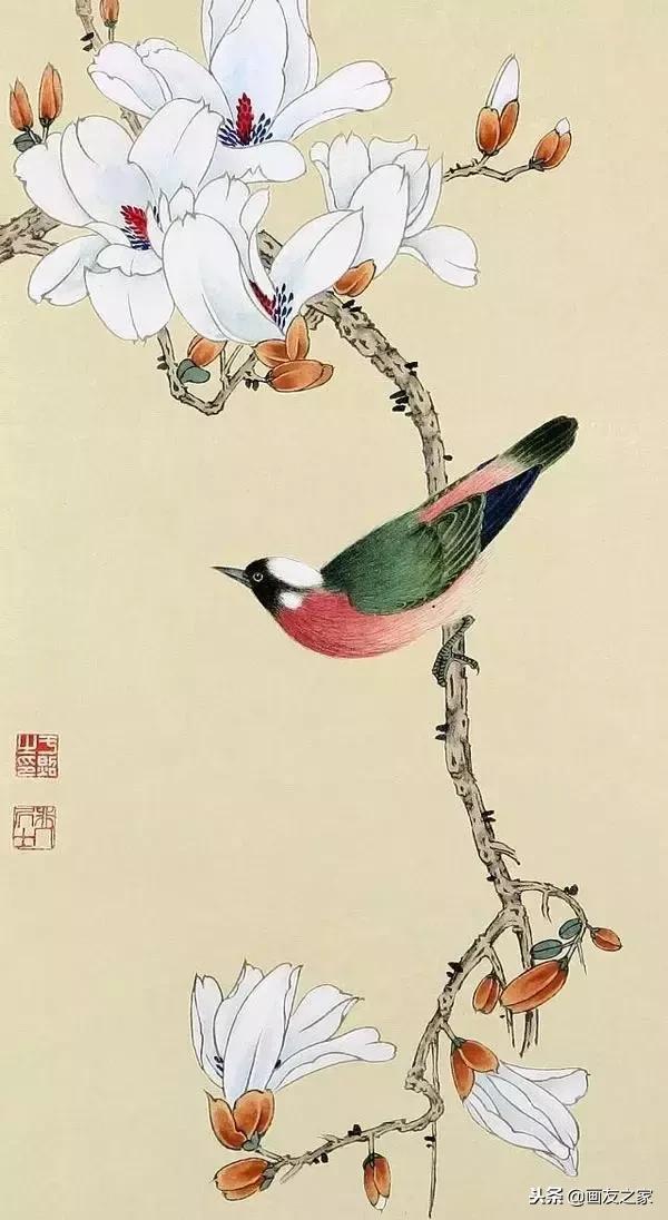 很美的花鸟工笔画