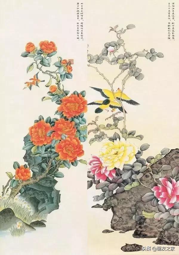 很美的花鸟工笔画