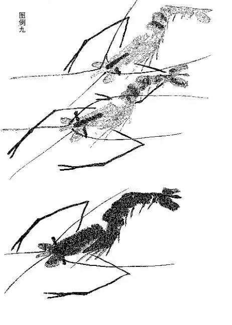 來源騰訊視頻圖片來源:@學畵一般來說,國畫蝦一般畫的是沼蝦(河蝦).