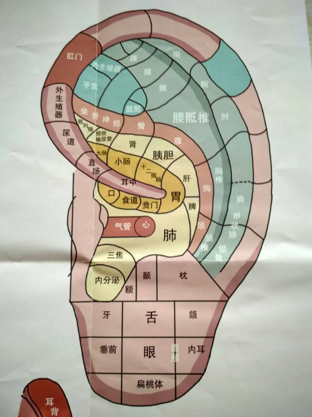足部按摩口诀反射区图片和按摩手法一