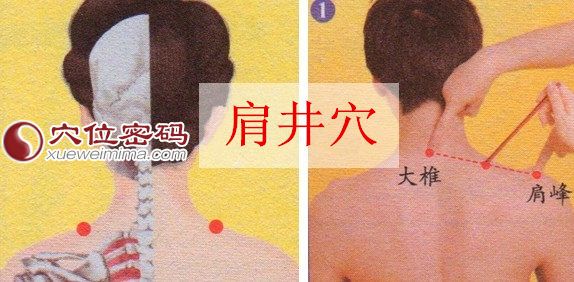 肩井穴的准确位置图