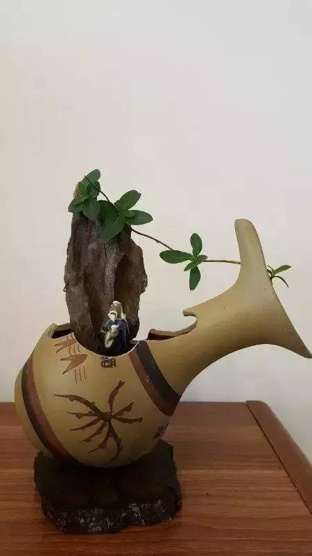 废酒瓶当花盆,竟比买来的还要好看n万倍! - 好网角收藏夹