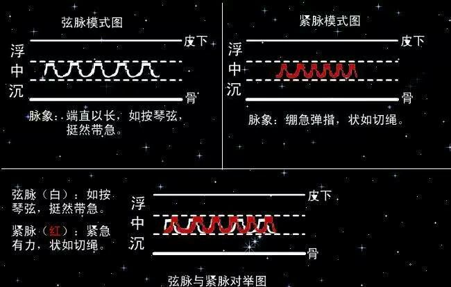 脉诊学 切脉法,有真传,二十八脉不一般,浮沉迟数四纲脉,各脉分属要