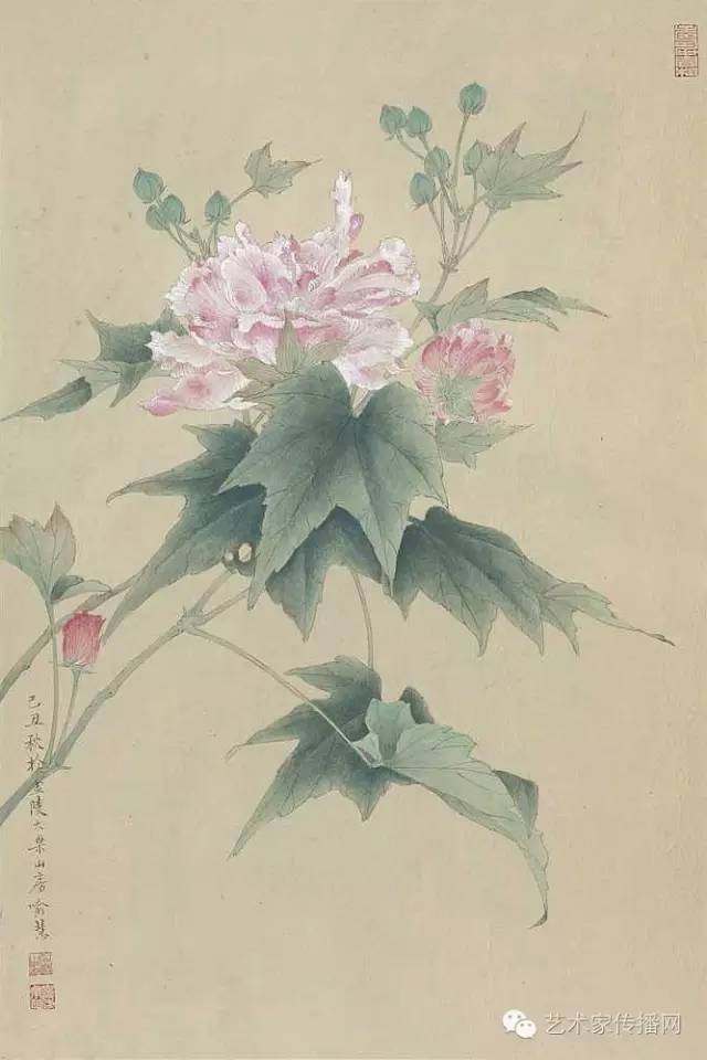 她画的工笔,真是太美了!