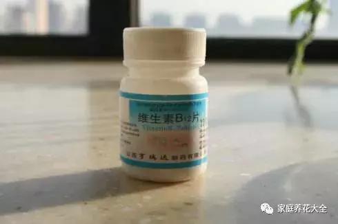 使用方法:将1片过期的维生素b12碾碎后兑入500ml清水,充分溶解后