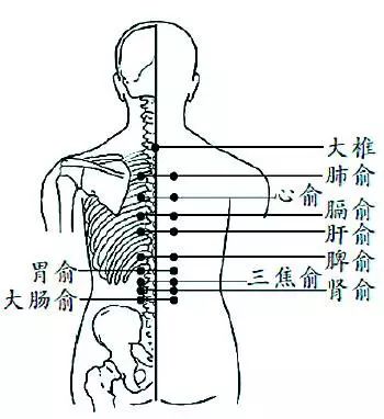 上熱下寒怎麼辦張仲景這個方子管用