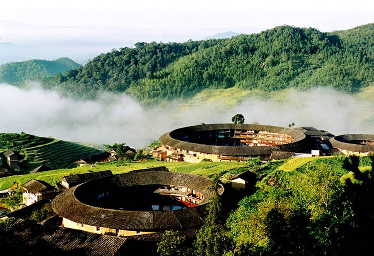 转载梅州大埔美奇葩