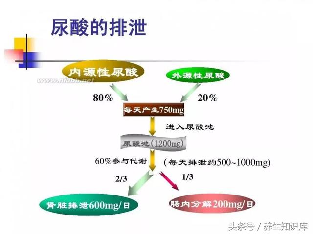 尿酸高的症状