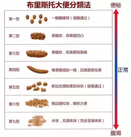 自查:大便很黏腻,有排不尽的感觉,异味大,说明体内湿热重