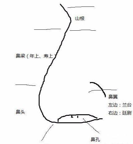 面大鼻小 难负重任声粗骨粗 竟为孀妇蛇行雀步 家财终散女人肩寒 孤刑