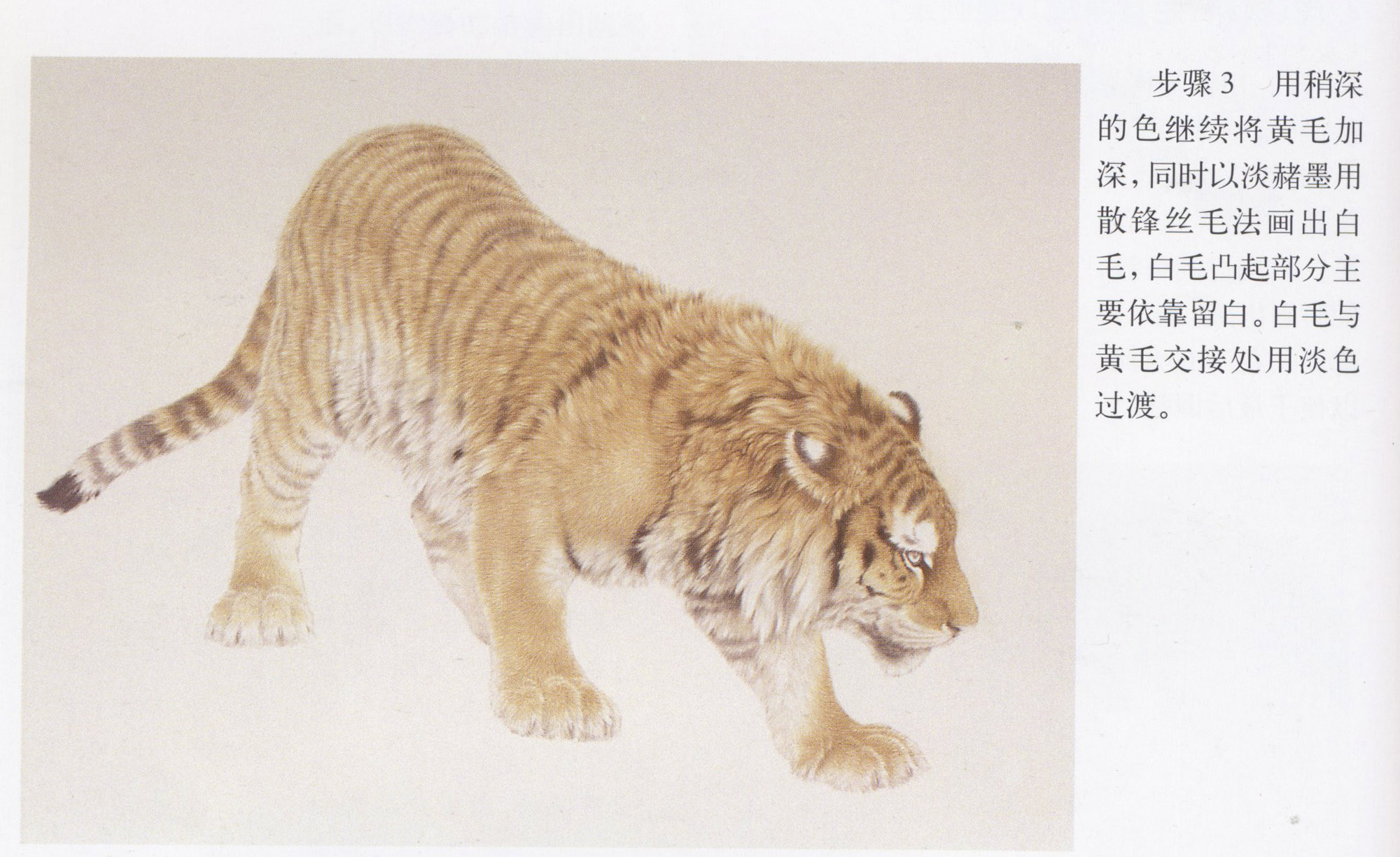 虎的湿画法国画动物皮毛技法有两种方法,一种批毛法,一种是丝毛法!