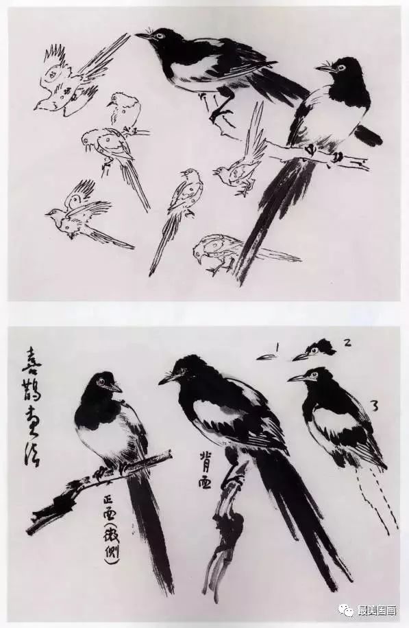 孙其峰书画谱小鸟的画法