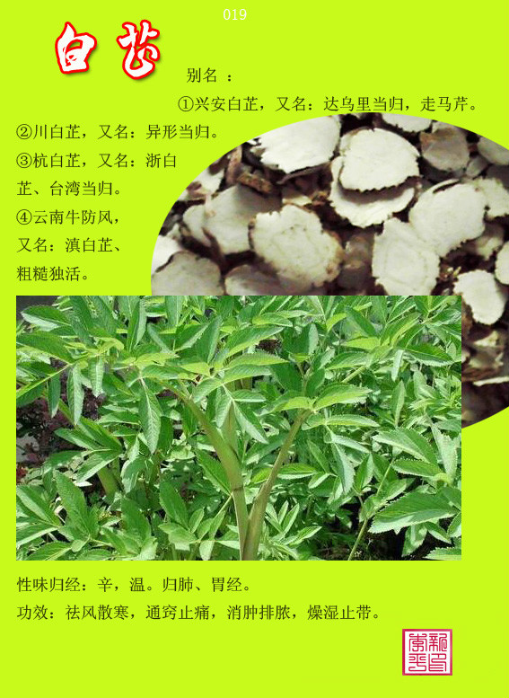图荐300种常用中草药药性归经功能主治