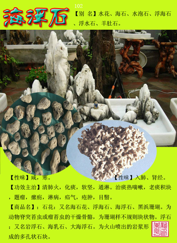 图荐300种常用中草药药性归经功能主治