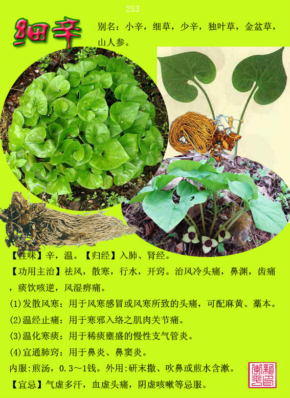 图荐300种常用中草药药性归经功能主治