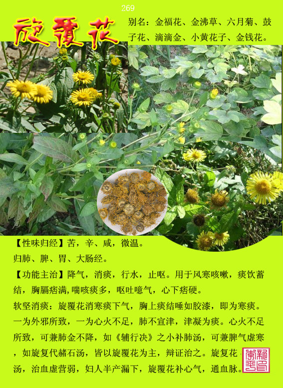 图荐300种常用中草药药性归经功能主治