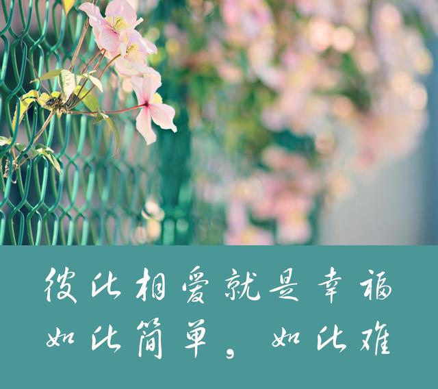 人生一辈子就这样活