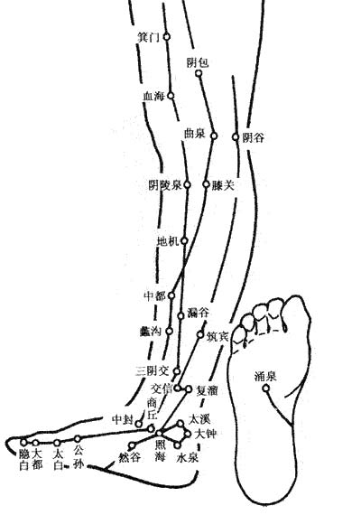 补血养肝的血海穴血海位于大腿内侧,请坐在椅子上,将腿绷直,在膝盖