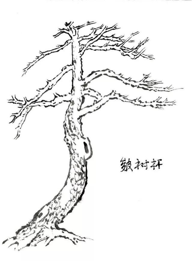 简单画松树的画法图片