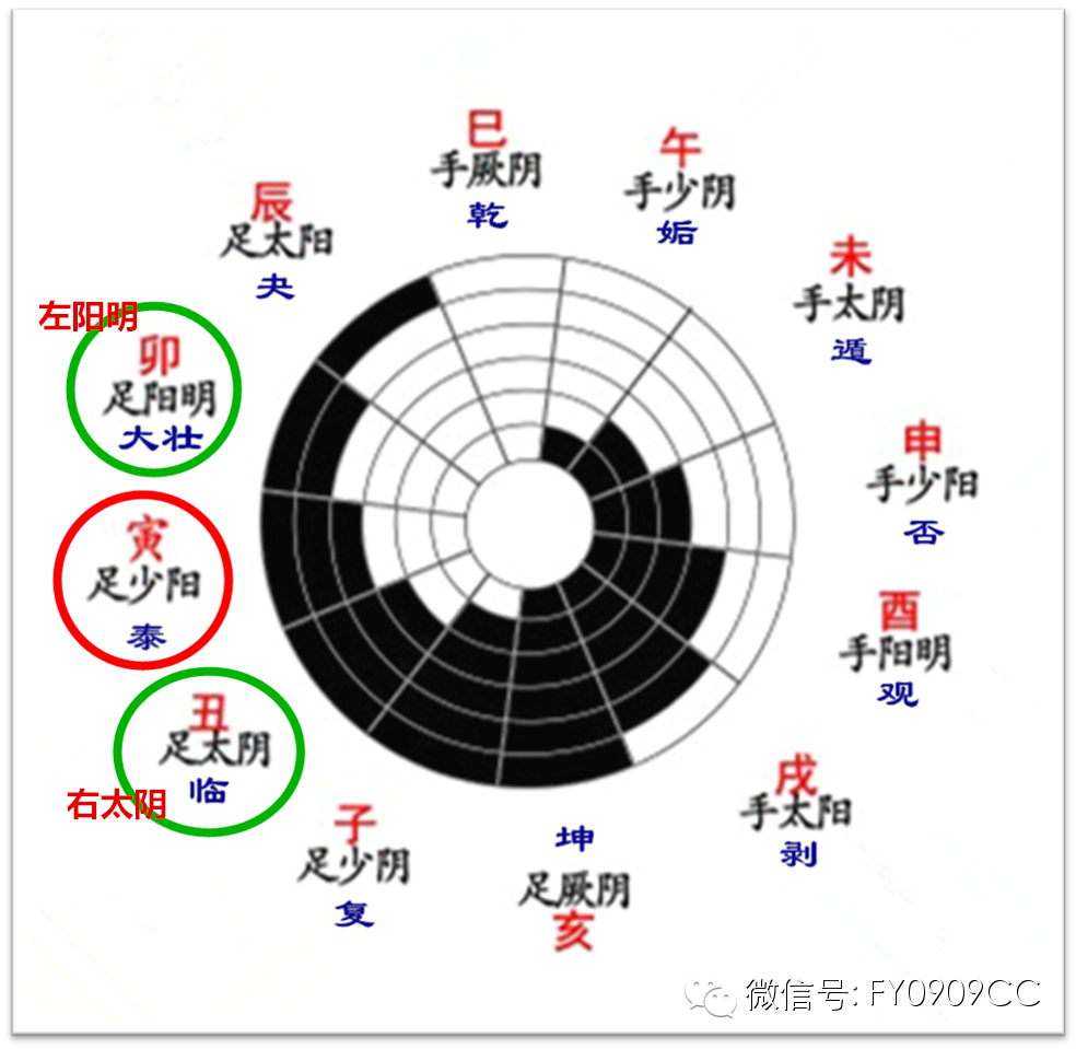 "见阳明(大状,左太阳(夬,右少阳(泰"