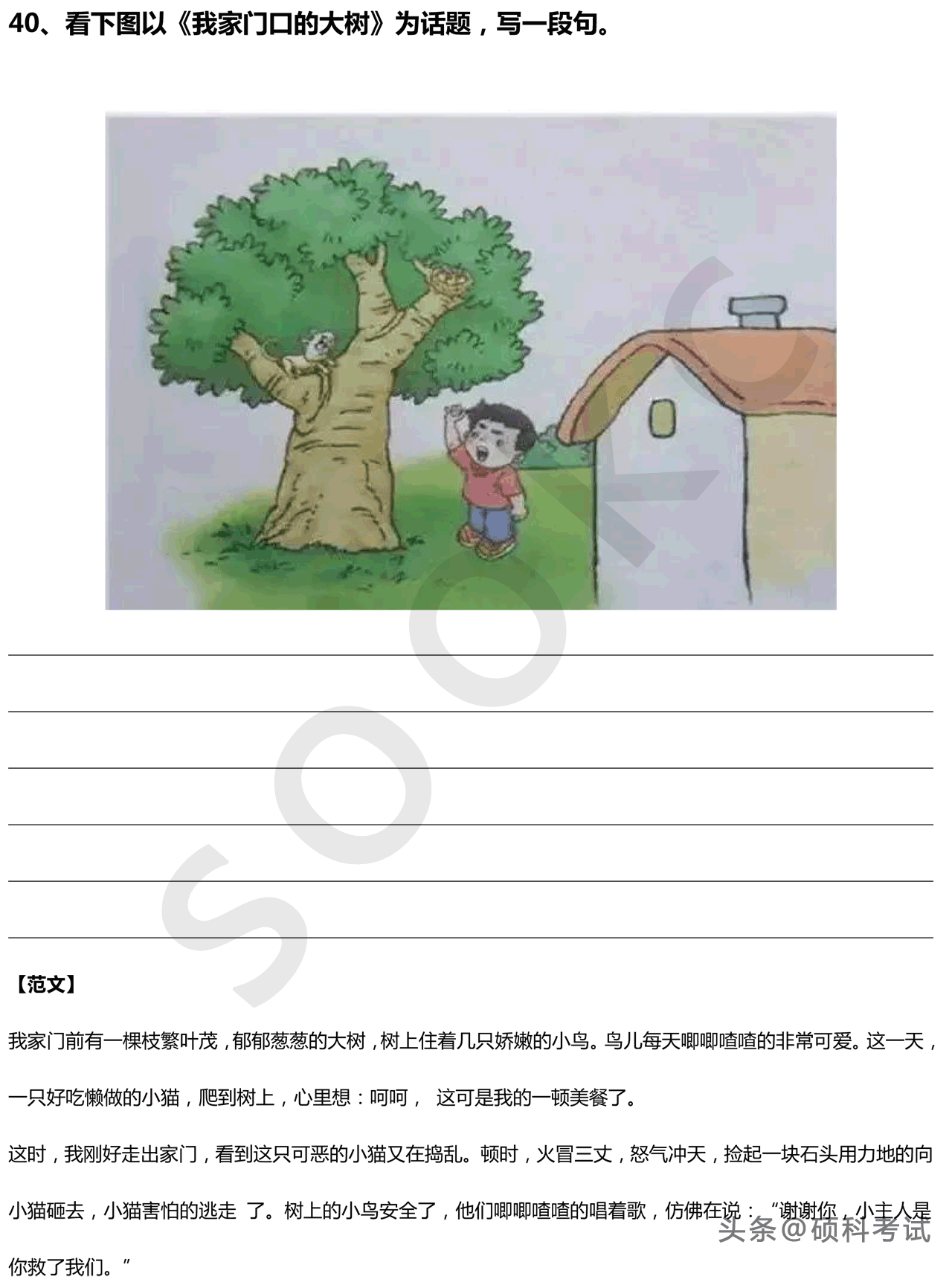 小學語文看圖寫話100篇練習題範文一定要給孩子多練練