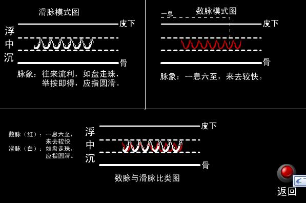 中医把脉口诀表