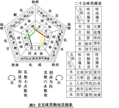 辅行诀脏腑用药法要图解上