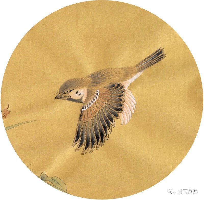 百态千姿鸟入画,这些工笔画真美!