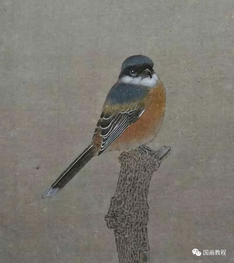 百态千姿鸟入画,这些工笔画真美!