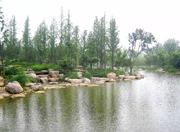 8,溪流景石驳岸溪流及驳岸的设计应满足美化环境和人们亲水,观水以及