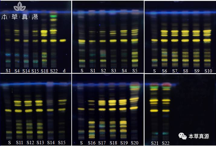 s:柴胡对照药材; d:柴胡皂苷d图3 柴胡属不同品种柴胡薄层色谱图3