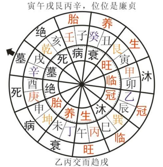 三合十二长生四大局排布