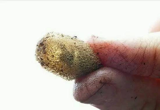 苗疆巫蛊丨苗寨整蛊人揭秘什么是蛊毒怎么下蛊