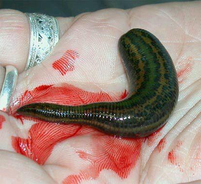 苗疆巫蛊丨苗寨整蛊人揭秘什么是蛊毒怎么下蛊