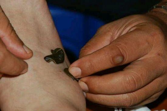 苗疆巫蛊丨苗寨整蛊人揭秘什么是蛊毒怎么下蛊