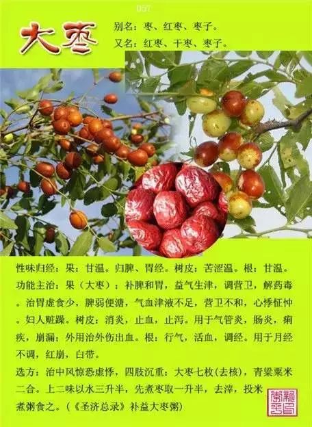 300味中草药彩◇◇谱完整版(含别名,性味归经,功效主治)