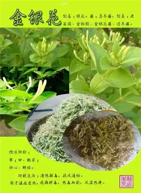 300味中草藥彩◇◇譜完整版(含別名,性味歸經,功效主治)