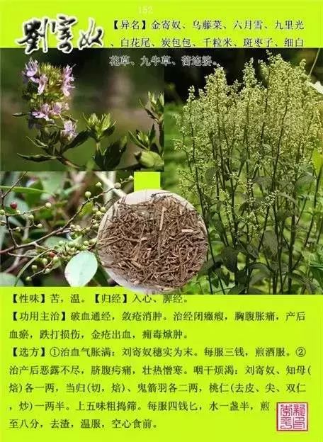 300味中草药彩◇◇谱完整版(含别名,性味归经,功效主治)