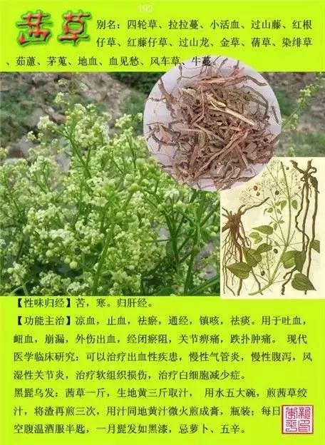 300味中草药彩◇◇谱完整版(含别名,性味归经,功效主治)