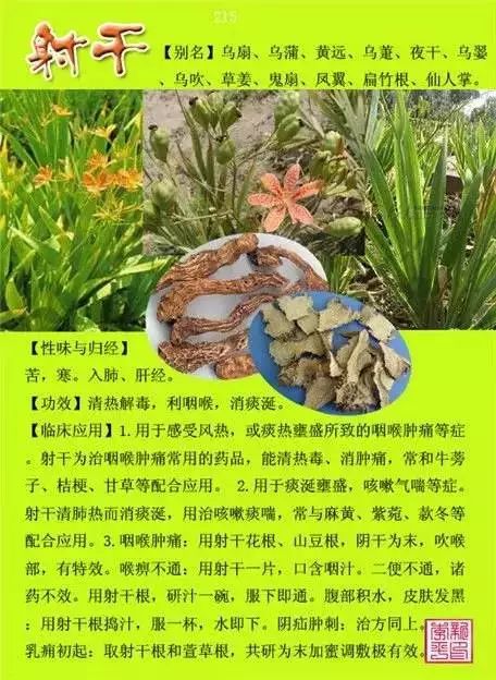 300味中草药彩◇◇谱完整版(含别名,性味归经,功效主治)